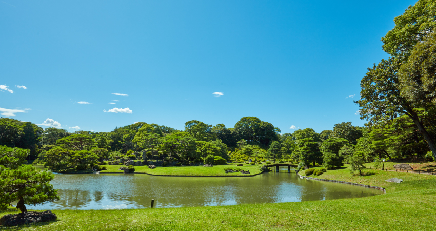 六義園 イメージ写真