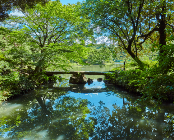 六義園 イメージ写真